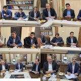 حضور مدیرعامل شرکت برق لرستان در دورود