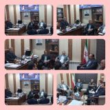 بررسی مشکلات احداث کشتارگاه صنعتی دورود